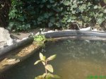 DSC00300.jpg
