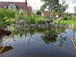 comp_Gartenteich 001.jpg