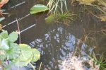060923 031_co.jpg 060923 031_co.jpg