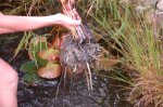 060923 011_co.jpg 060923 011_co.jpg