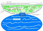geplanter Pflanzenteich.jpg