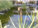 IMAG0138.JPG