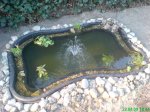 DSC00407.jpg