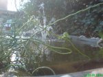 DSC00408.jpg