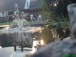 DSC00409.jpg