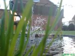 DSC00410.jpg