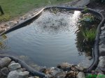 DSC00411.jpg