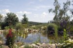 Teich_072008.jpg
