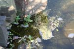 IMG_20090425_2135.jpg