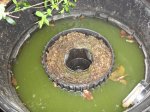 DSC00581.JPG