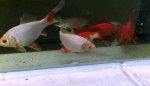 BILD1581a.jpg