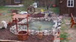 K800_Gartenteich 123.jpg