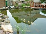 DSC00035.jpg