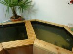 DSC00064.jpg
