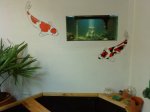 DSC00048.jpg