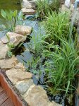 DSC00043.jpg