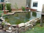 DSC00056.jpg