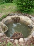 DSC01351.JPG