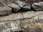 DSC01355.JPG
