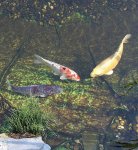 IMG_3442.jpg