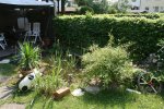 IMG_1363 (Small).jpg IMG_1363 (Small).jpg