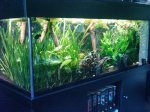Aquarium.jpg