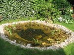 IMG_9890-Teich.jpg