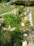 DSCF0816.JPG