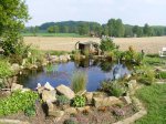 DSCF0811.JPG