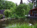 LPIC0407_600_450.jpg