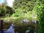 LPIC0409_600_450.jpg