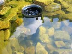 AquaSkim40_2.jpg