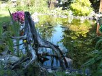teich1.JPG