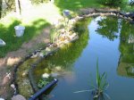 Teich_2009-04.JPG