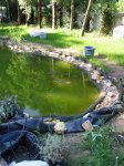 Teich_2009-05.JPG