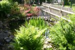 mini-teich2 007.jpg