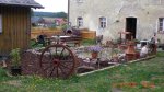K800_Gartenteich 150.jpg