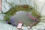 IQ3M1623_22-05-09_Testteich_Uebersicht.JPG IQ3M1623_22-05-09_Testteich_Uebersicht.JPG
