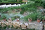 IQ3M1630_22-05-09_Testteich_ West-Ost.JPG IQ3M1630_22-05-09_Testteich_ West-Ost.JPG