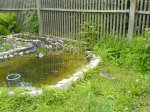 DSC00165.1.JPG