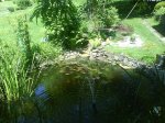 DSC00099.JPG