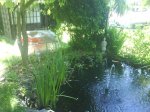 DSC00100.JPG