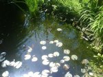 DSC00101.jpg