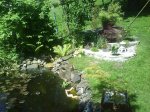 DSC00102.JPG