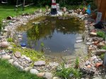 100_4251.jpg