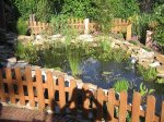 IMG_0041.jpg