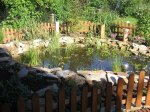 IMG_0043.jpg