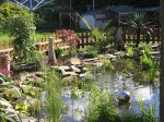 IMG_0049.jpg