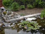 DSC04503.jpg
