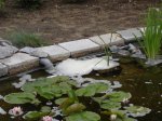 DSC04504.JPG